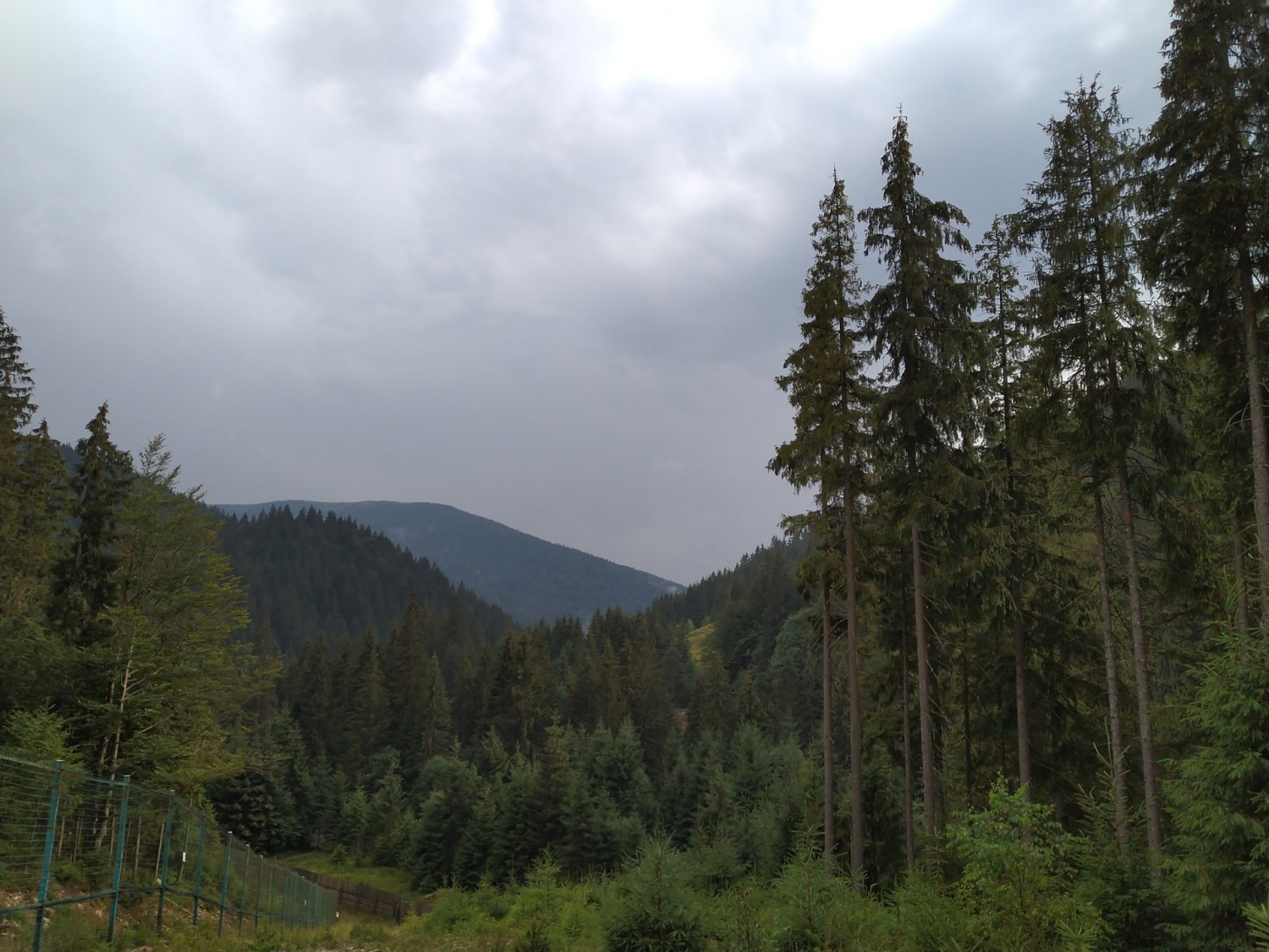 Публікація