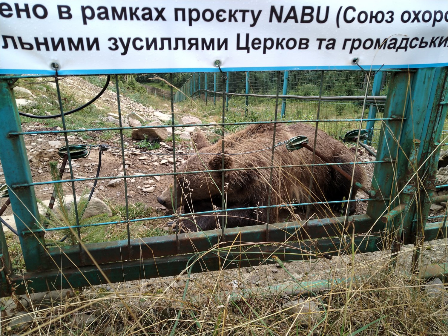 Публікація