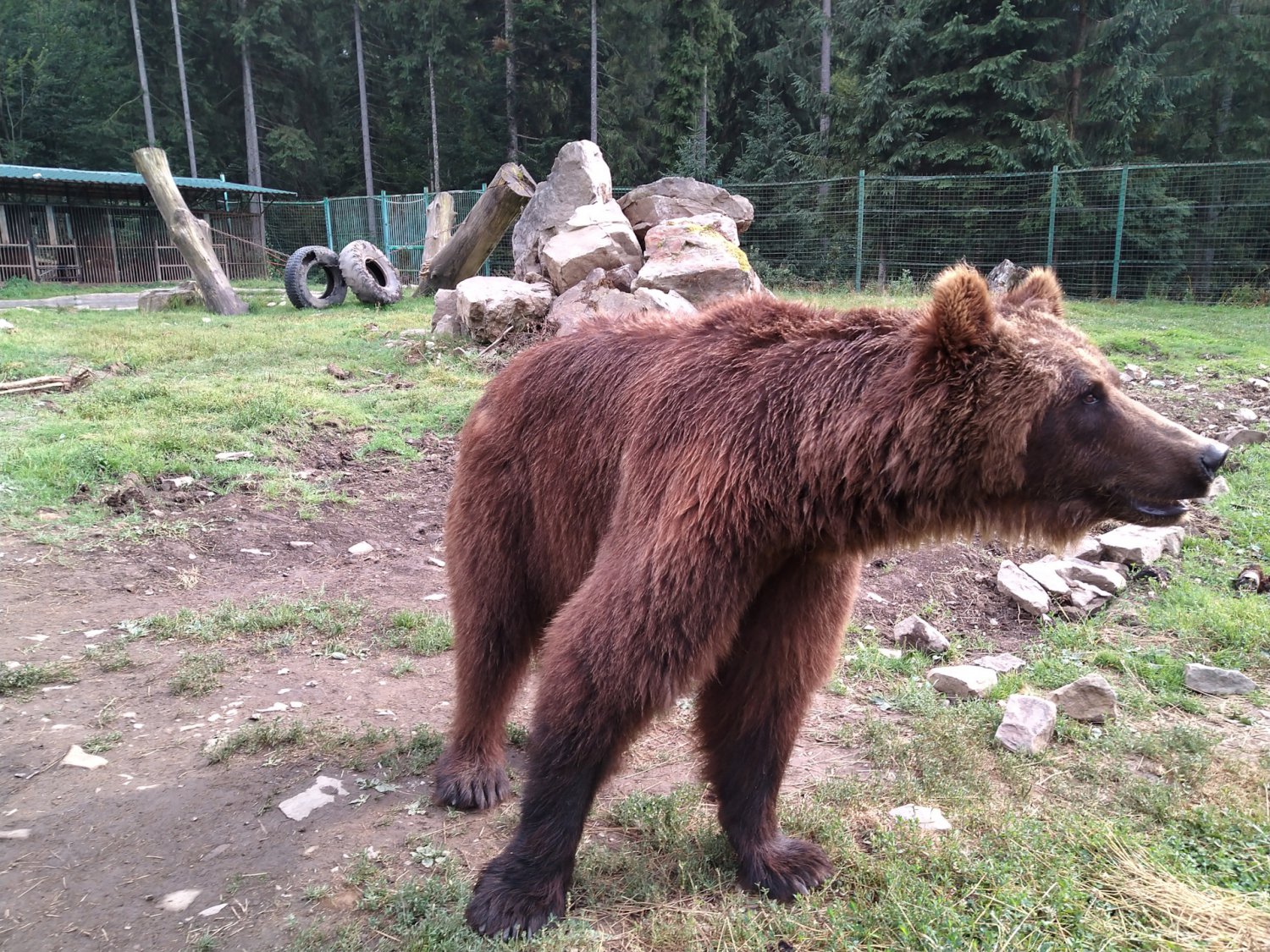 Публікація