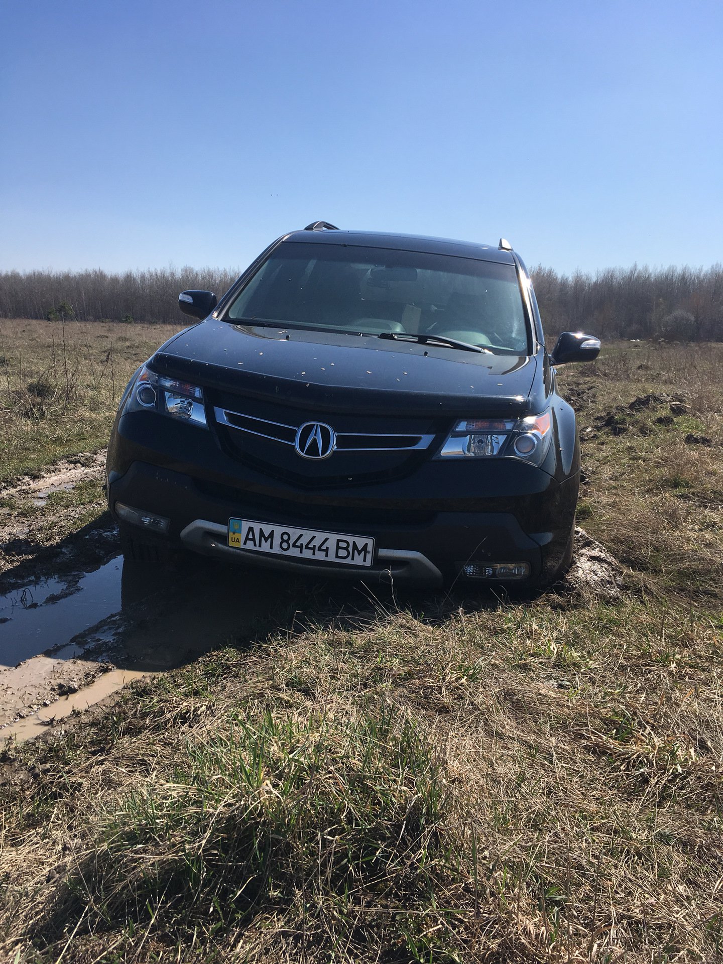 Публікація