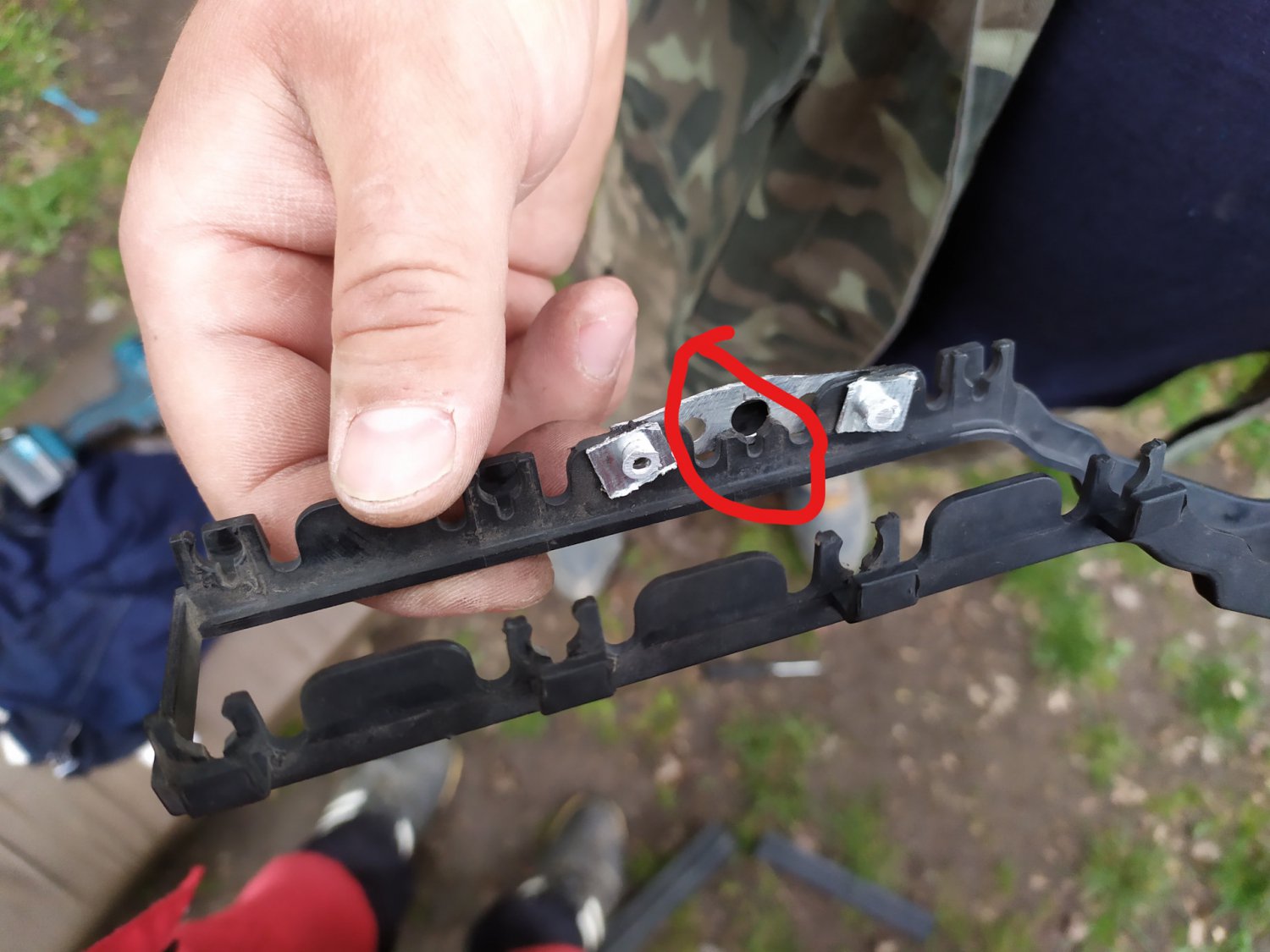 вот там должны бить усики