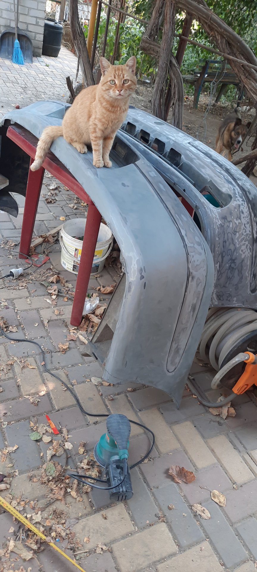 Пришёл помощник =)