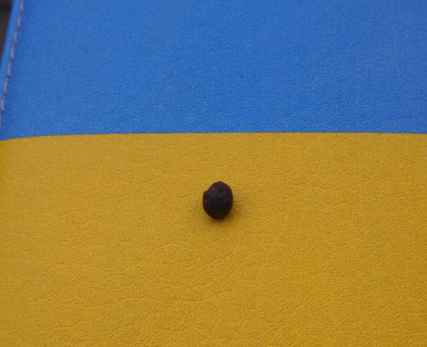 Публікація