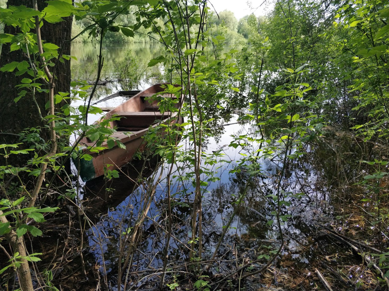 Публікація