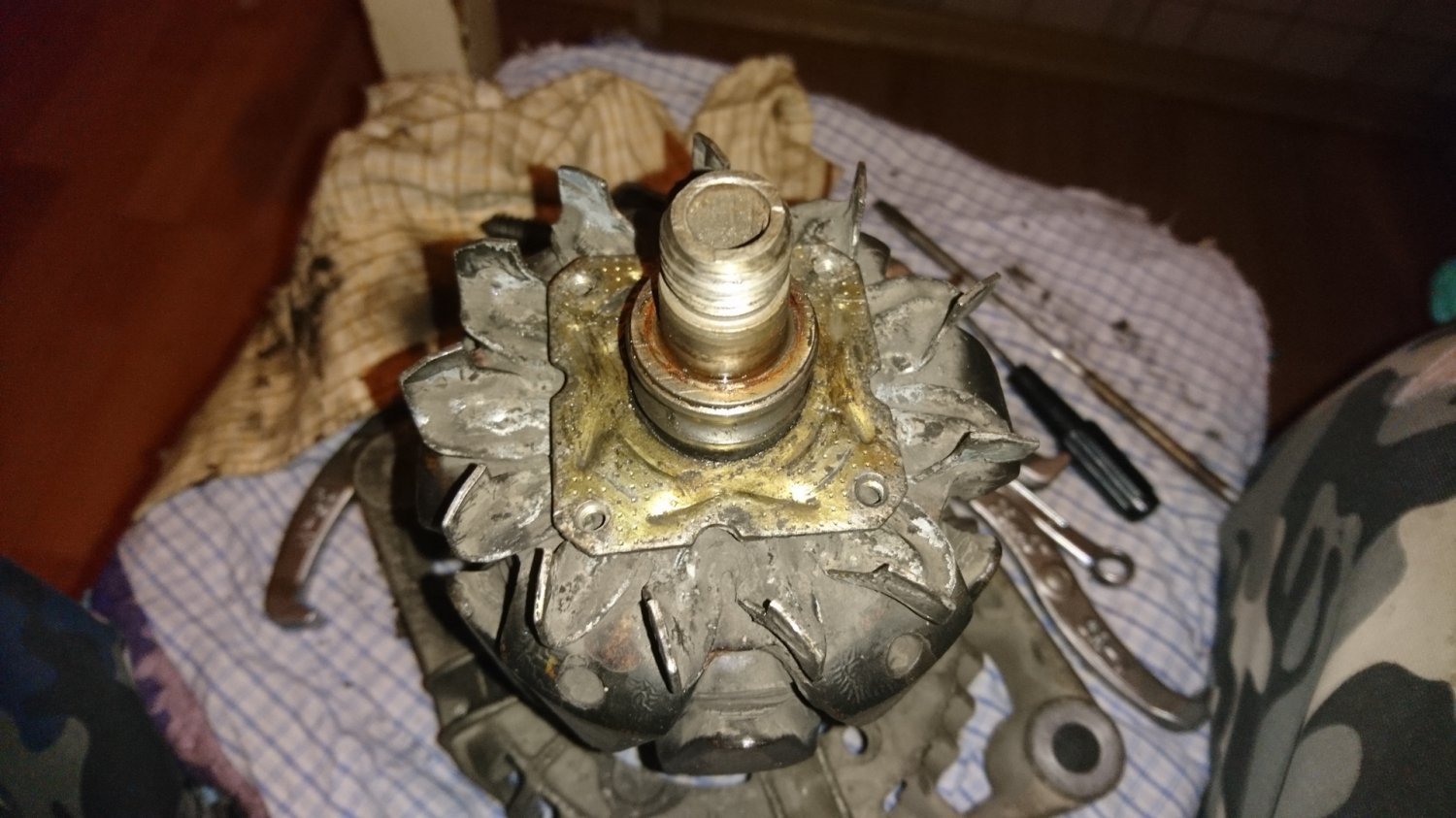 Гребаный пластина
